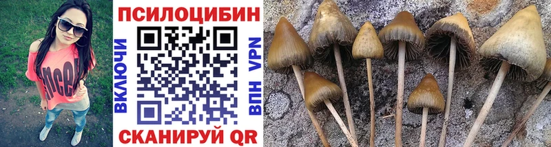 Псилоцибиновые грибы прущие грибы Купить Абаза